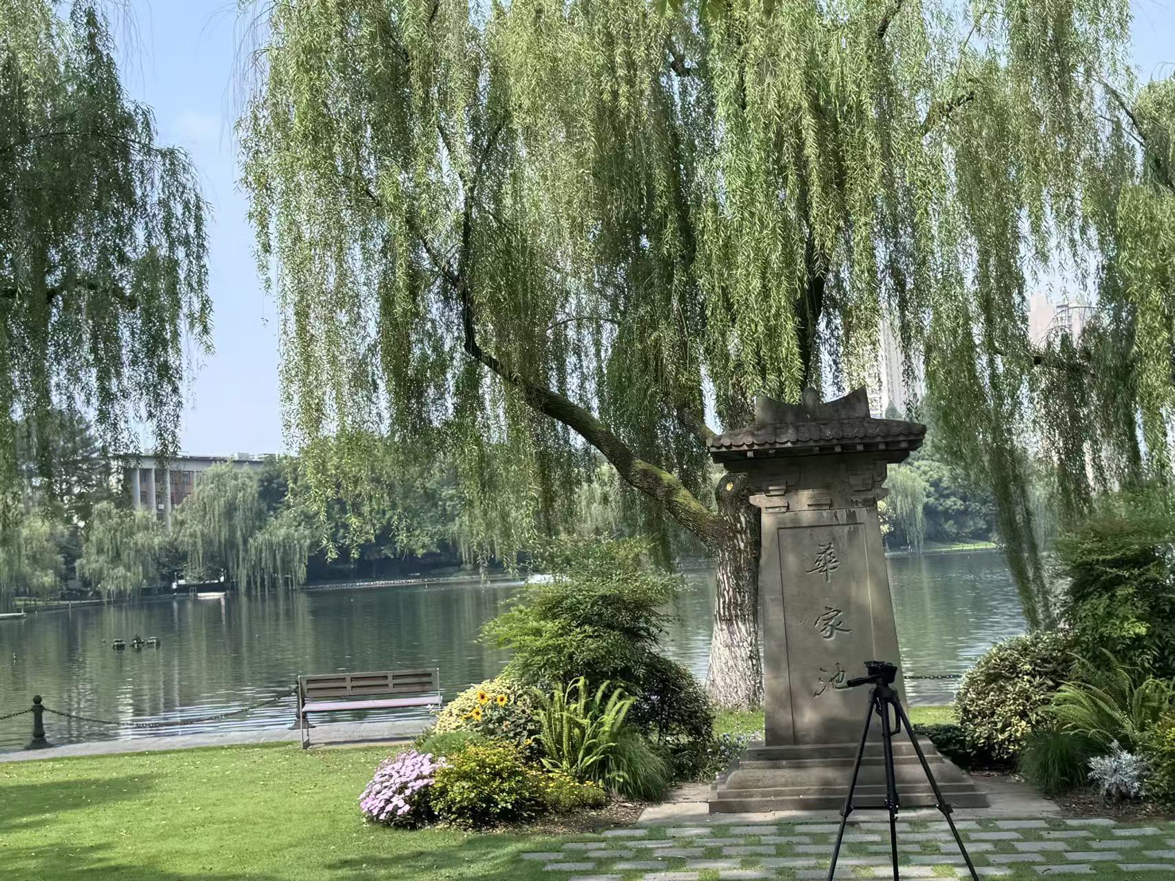 本地图片